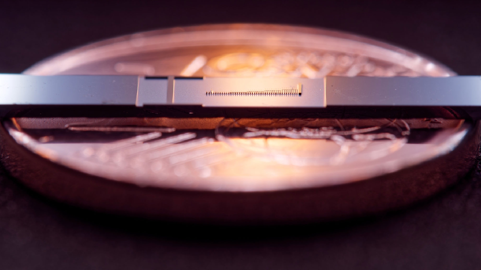 tiny particle accelerator